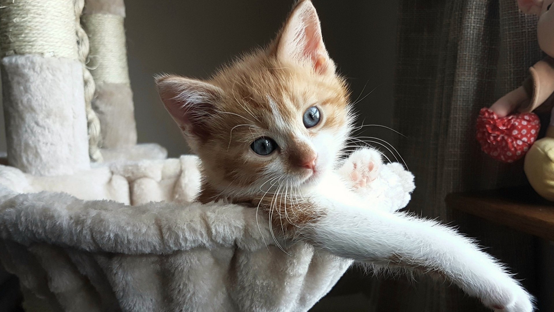 _水上激光激光赛:未来科技引领运动新潮流_,激光武器能否用于水下