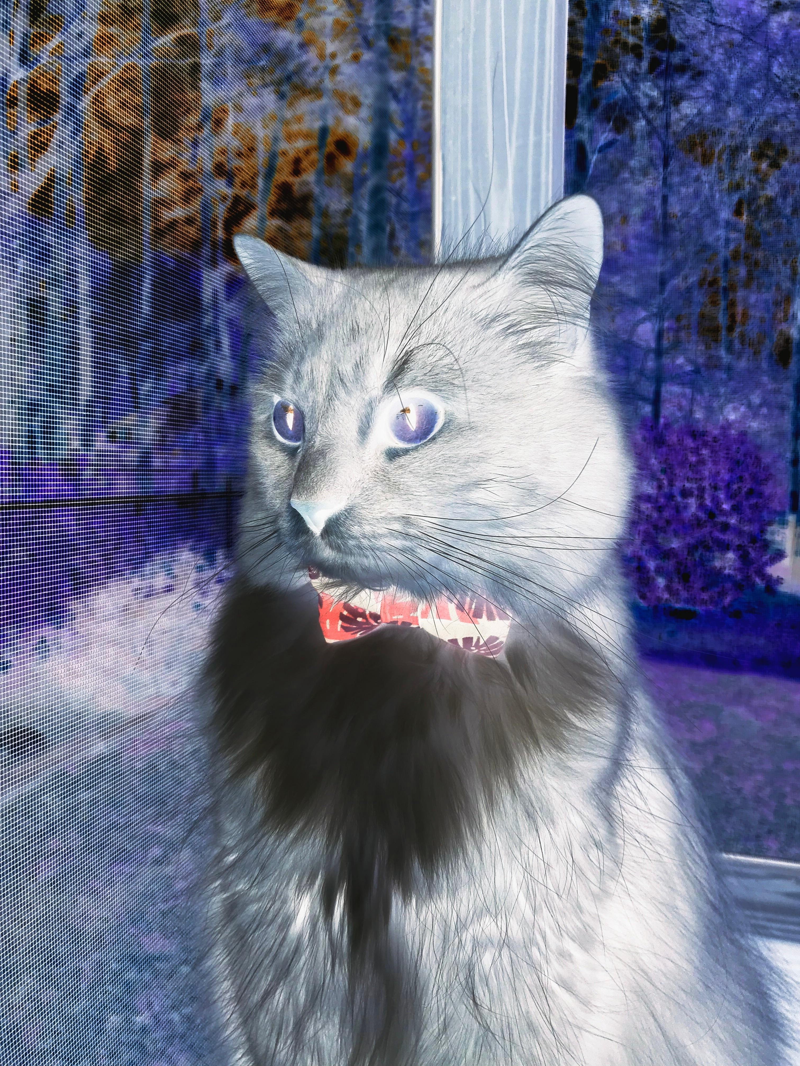 _水上激光激光赛:未来科技引领运动新潮流_,激光武器能否用于水下