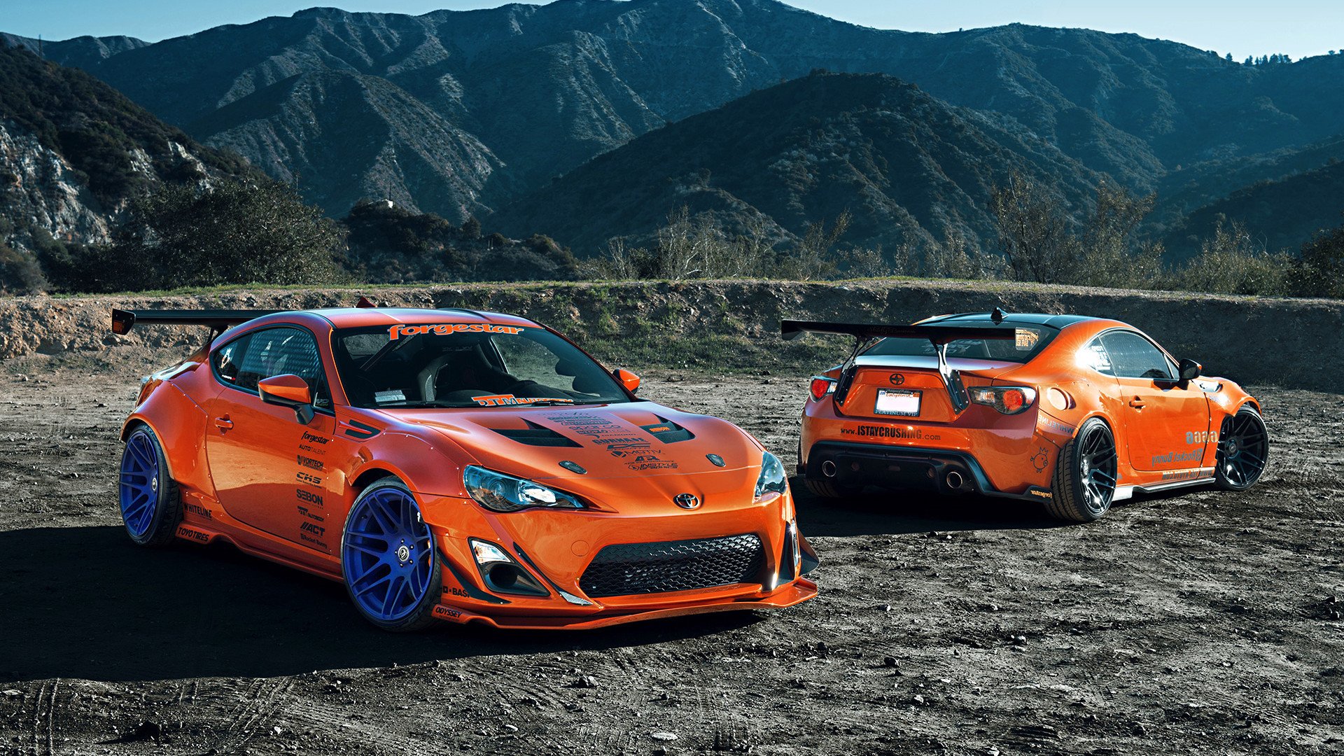 “球场内外：球员的动人故事和激情人生”，关于球员