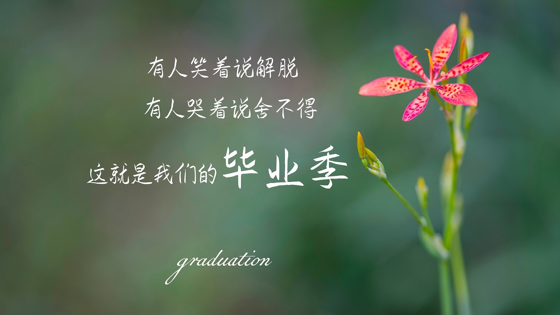 《Valorant洲际杯，战术创新引领新潮流》，洲际赛we