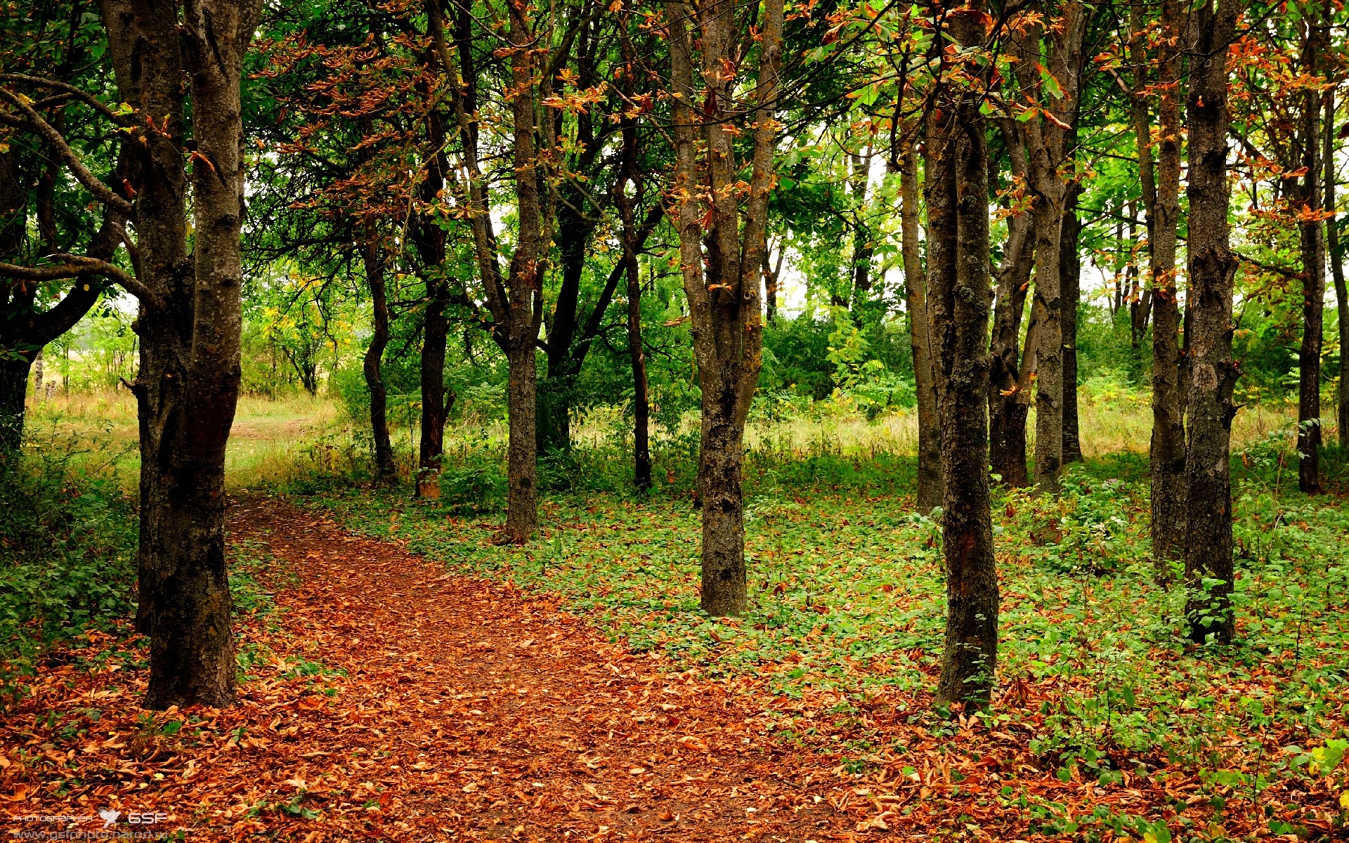 《Valorant爆冷在望,年轻战队逆袭夺冠!》,valorant比赛