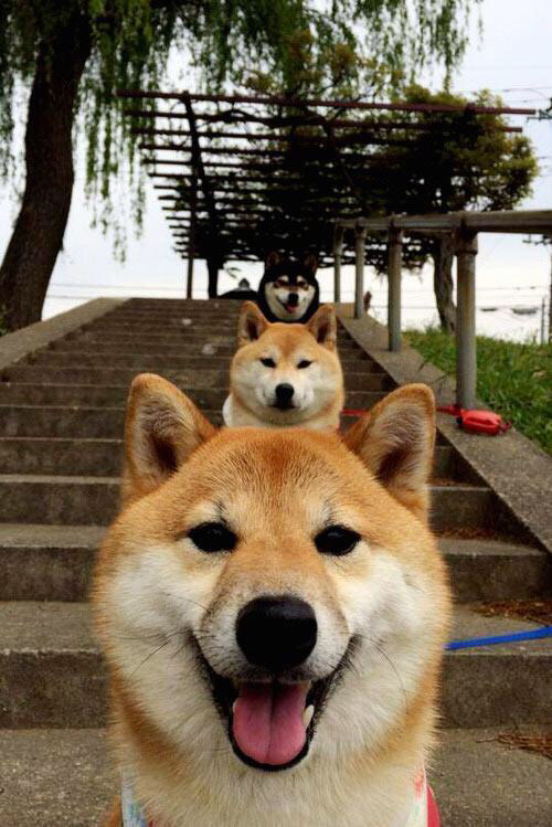 【比赛分析】顶尖运动员如何利用球桌优势布局，桌上球类运动