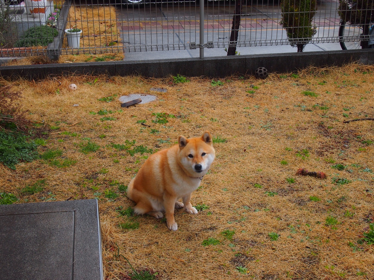 乐鱼电竞-中国高尔夫球协会与腾讯合作，拓展赛事传播渠道，中国高尔夫球俱乐部