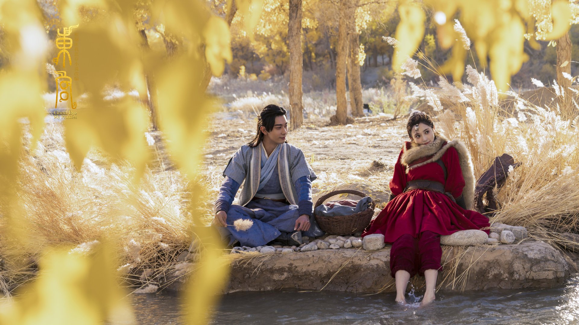 史上最年轻“冠军得主”一夜成长,最年轻的冠军