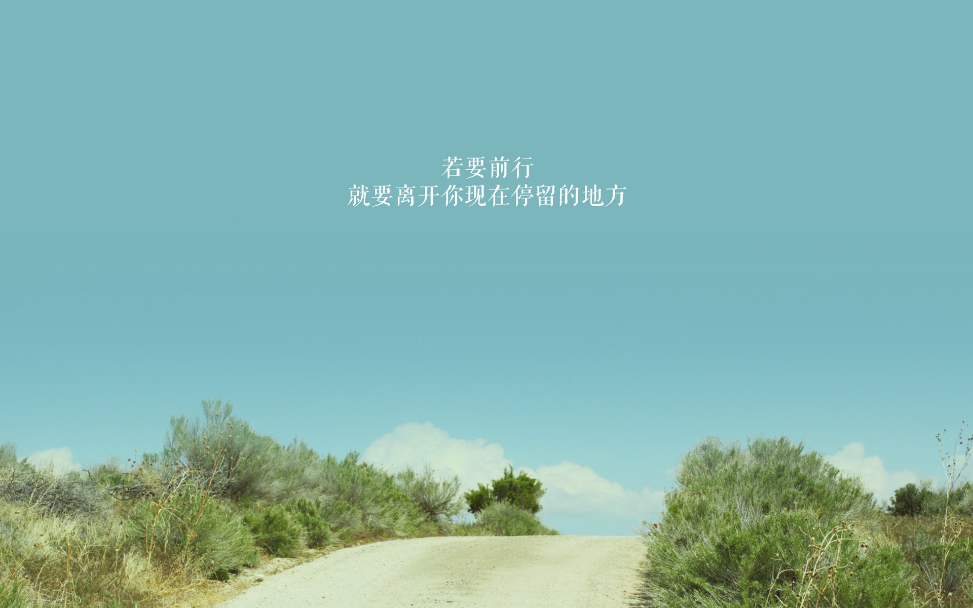 德甲焦点战，教练总结比赛亮点，德甲榜首大战