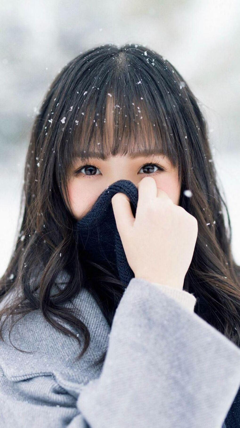 新法规出台，车队如何应对？，车队的管理和规章制度及细则