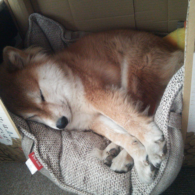 绝地求生“极限生存”全球特训营火爆开赛,绝地求生 全球