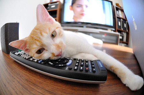 尤尼克斯努力追赶,争夺季后赛更好名次,尤尼克斯球赛