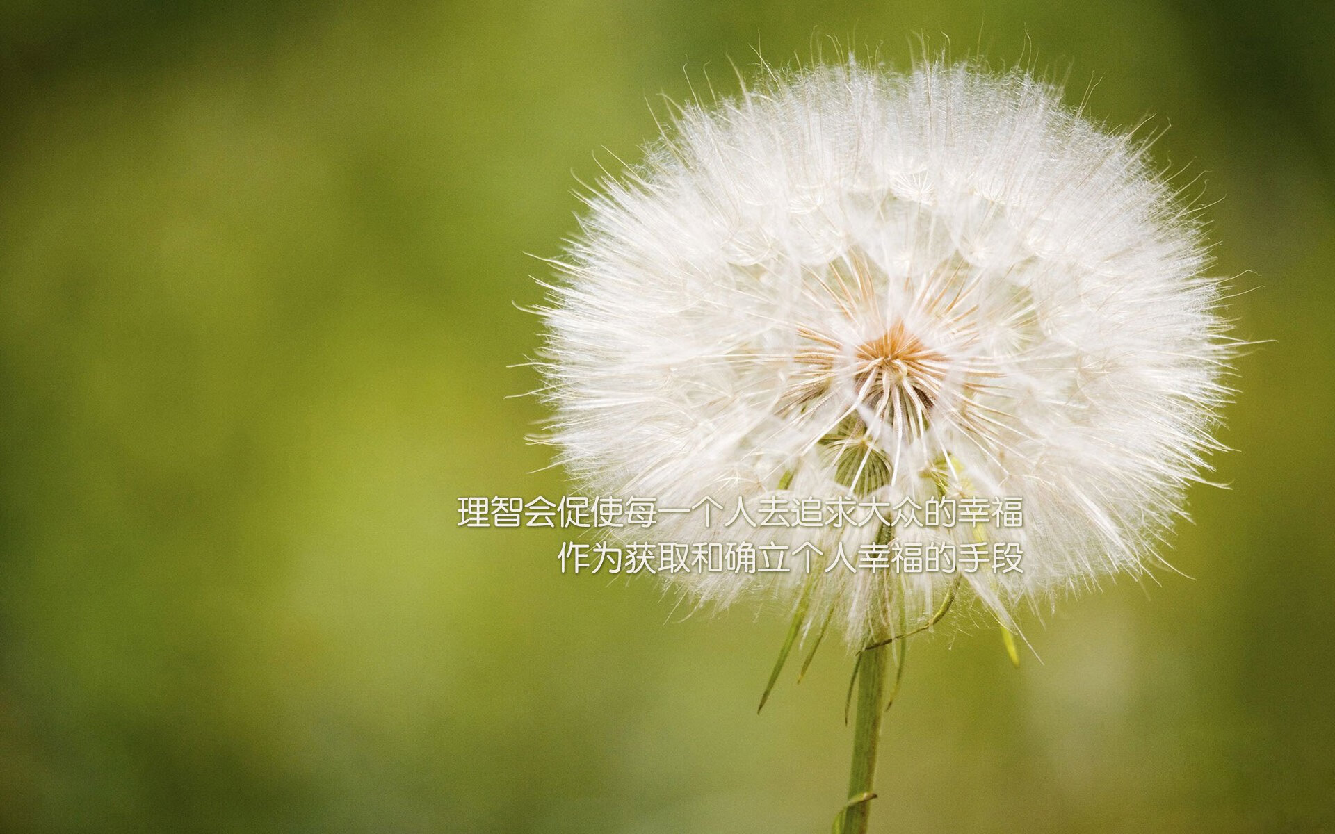 斯洛特注重防守，提升球队防守稳定性，斯洛克防守大师