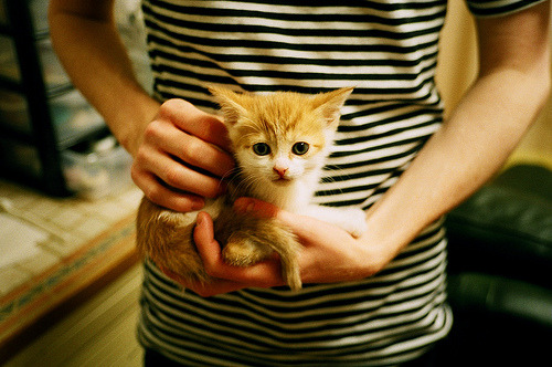 乐鱼（中国）体育官方网站-湖人力克雄鹿，詹眉组合合砍65分，湖人对雄鹿聚胜顽球汇