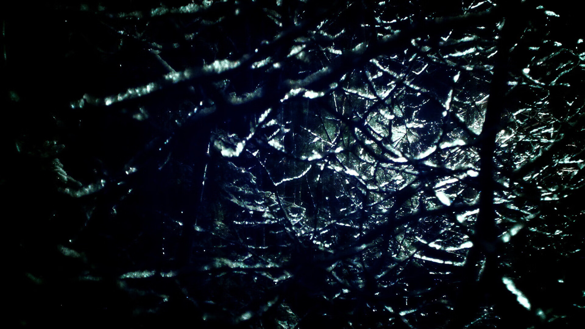 leyu.com-球员职业生涯规划是否被充分重视，职业生涯效力一支球队