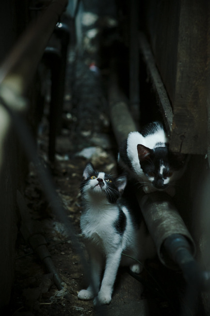 球员职业生涯规划是否被充分重视,职业生涯效力一支球队