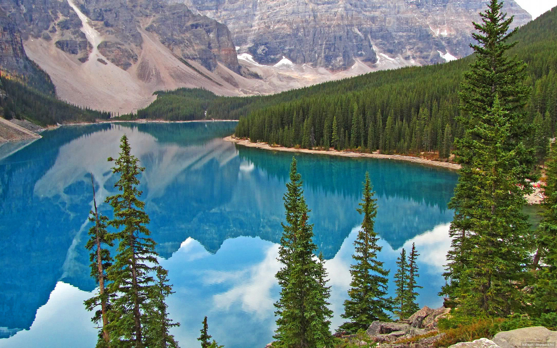 乐鱼电竞在线平台-纽约自由人赛季连胜提升士气，纽约自由人vs洛杉矶火花