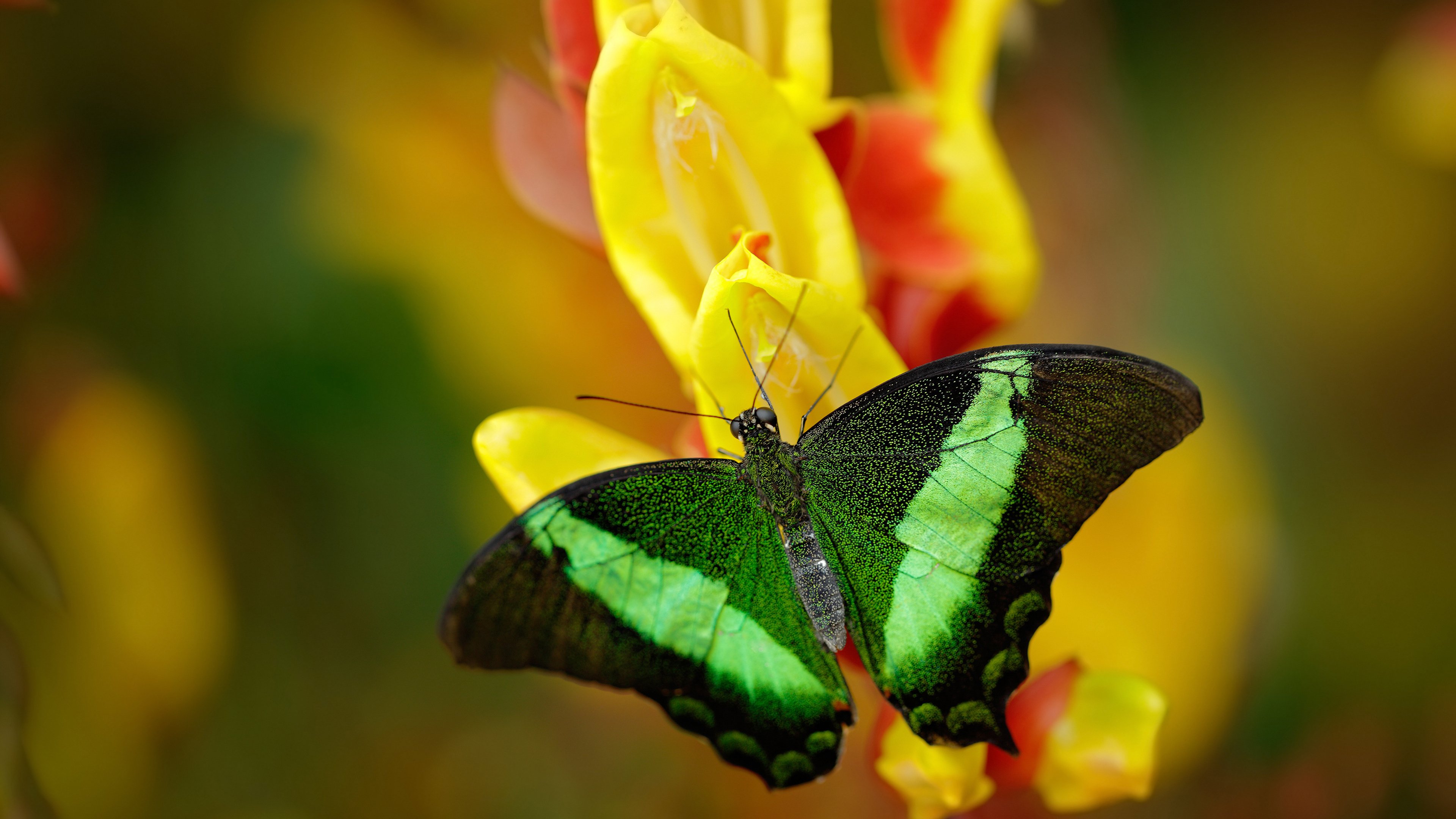 LEYU SPORTS中国官方网站-线上普拉提课程兴起，满足不同人群需求，网上普拉提教学视频谁的好
