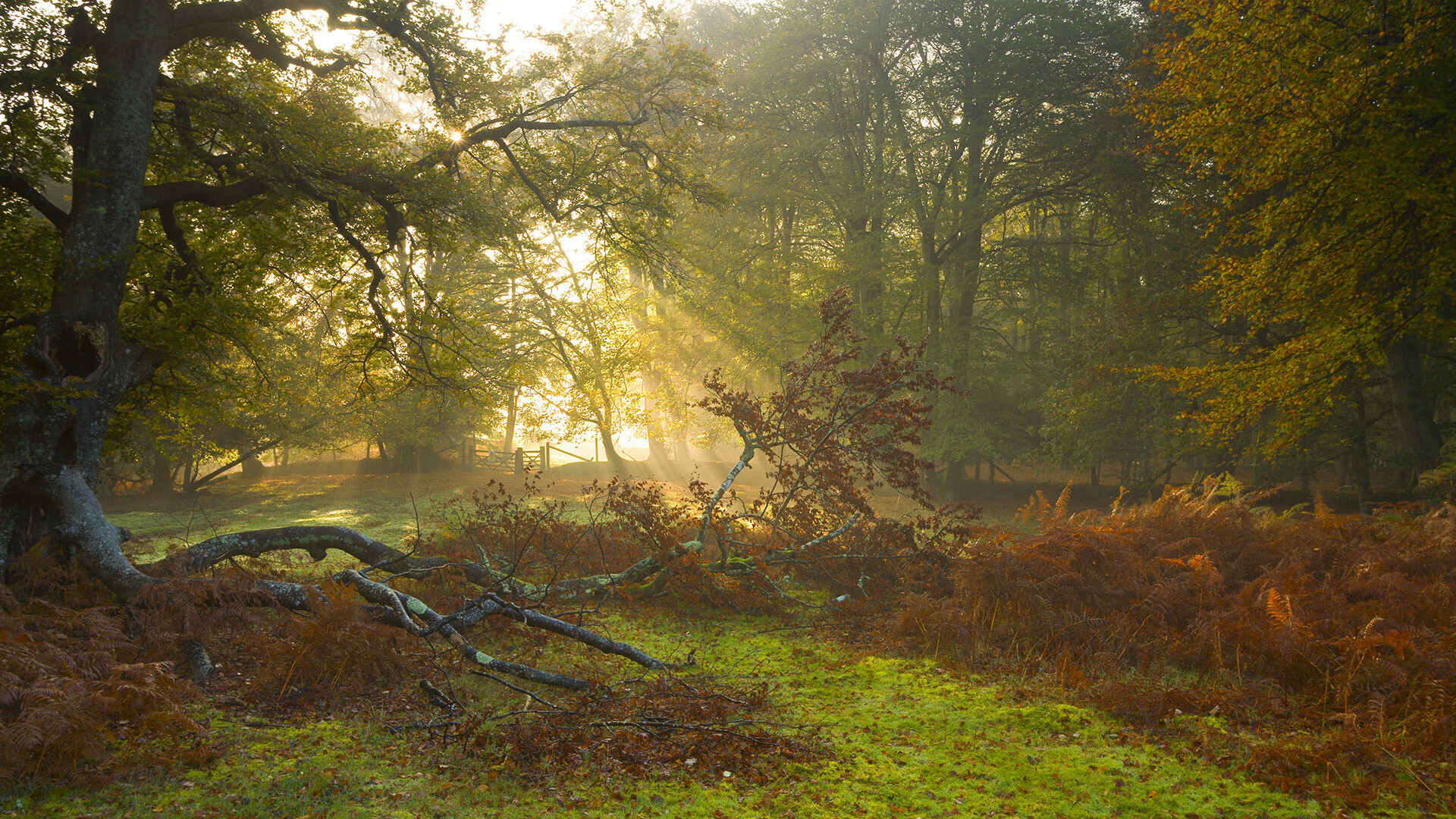 足坛巨星转会传闻不停，引发球迷热议，足坛转会市场最新消息