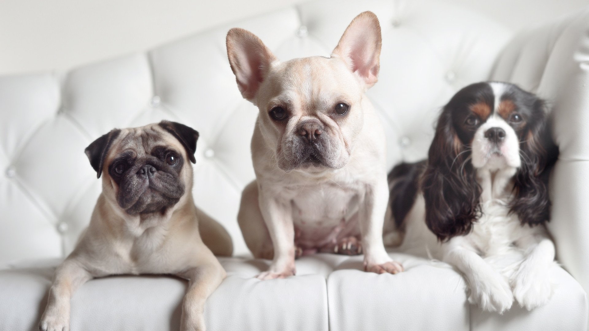 阿森纳客场失利,保级形势雪上加霜,阿森纳晋级