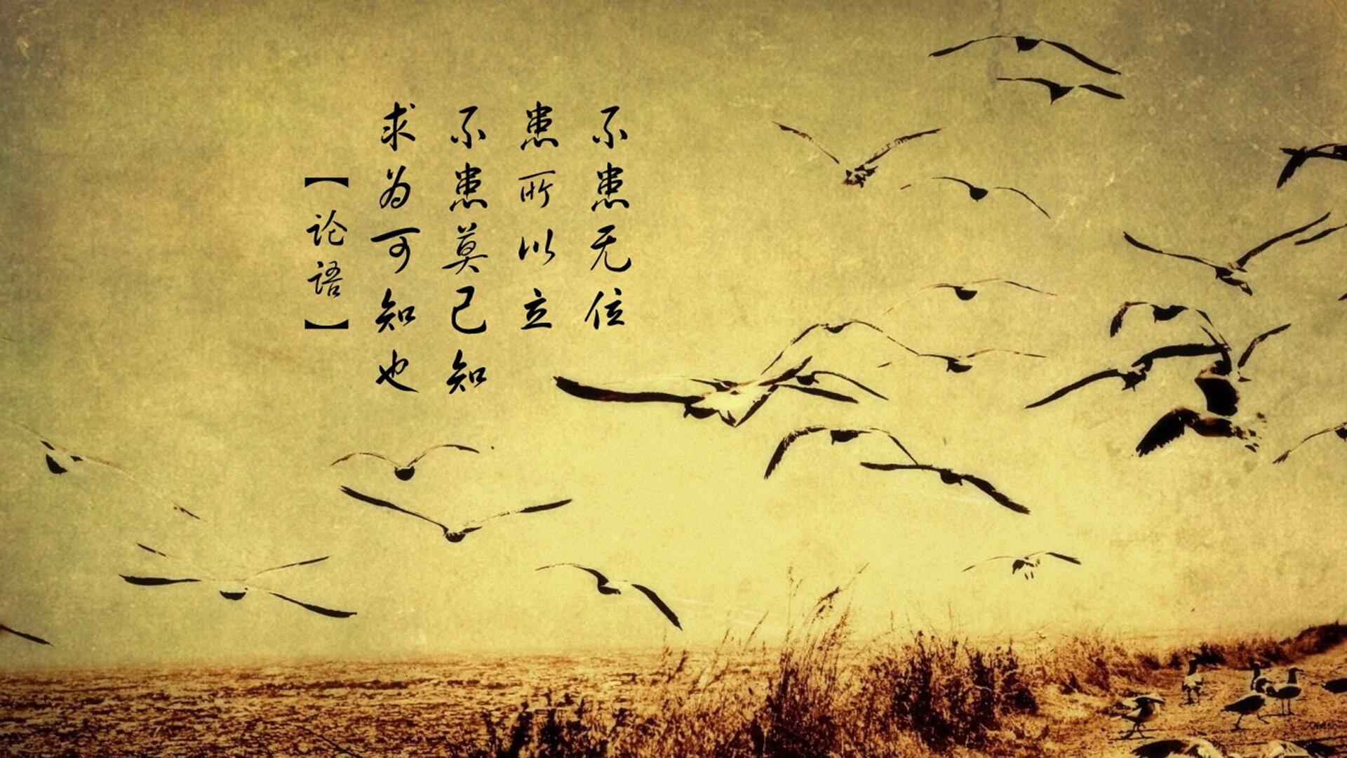 Leyu Sport登录入口-意甲老牌名将带队打造年轻阵容反弹势头，意甲各队主帅简介