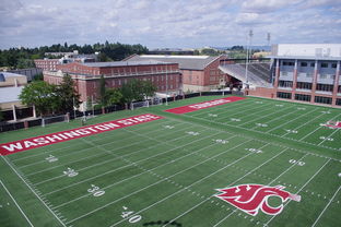 乐鱼体育App下载-篮球专项体能训练监测技术及应用实践，篮球项目的体能训练方法