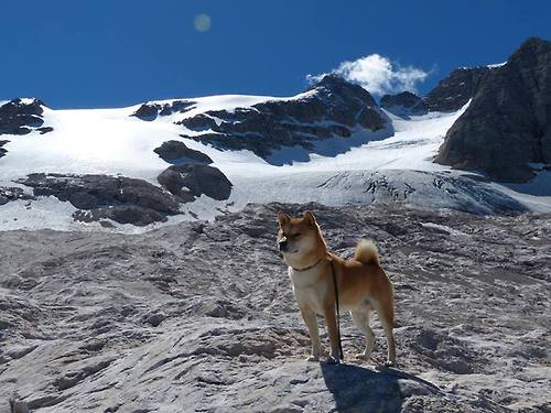 高校体育赛事观众体验提升，高校体育赛事观众体验提升方案