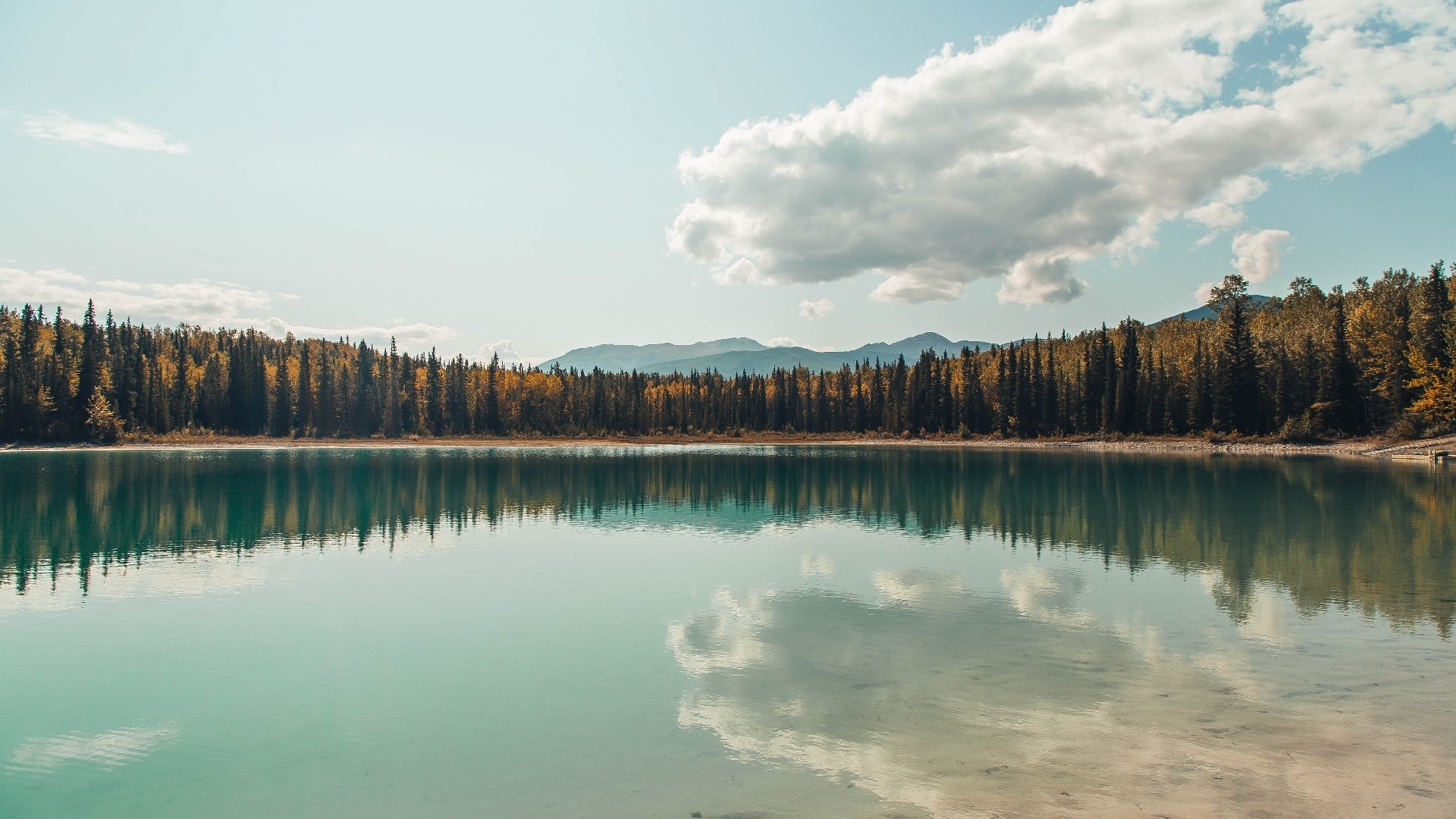 乐鱼电竞在线平台-体育新闻中心启动体育内容多渠道品牌传播计划，体育新闻标题大全100条