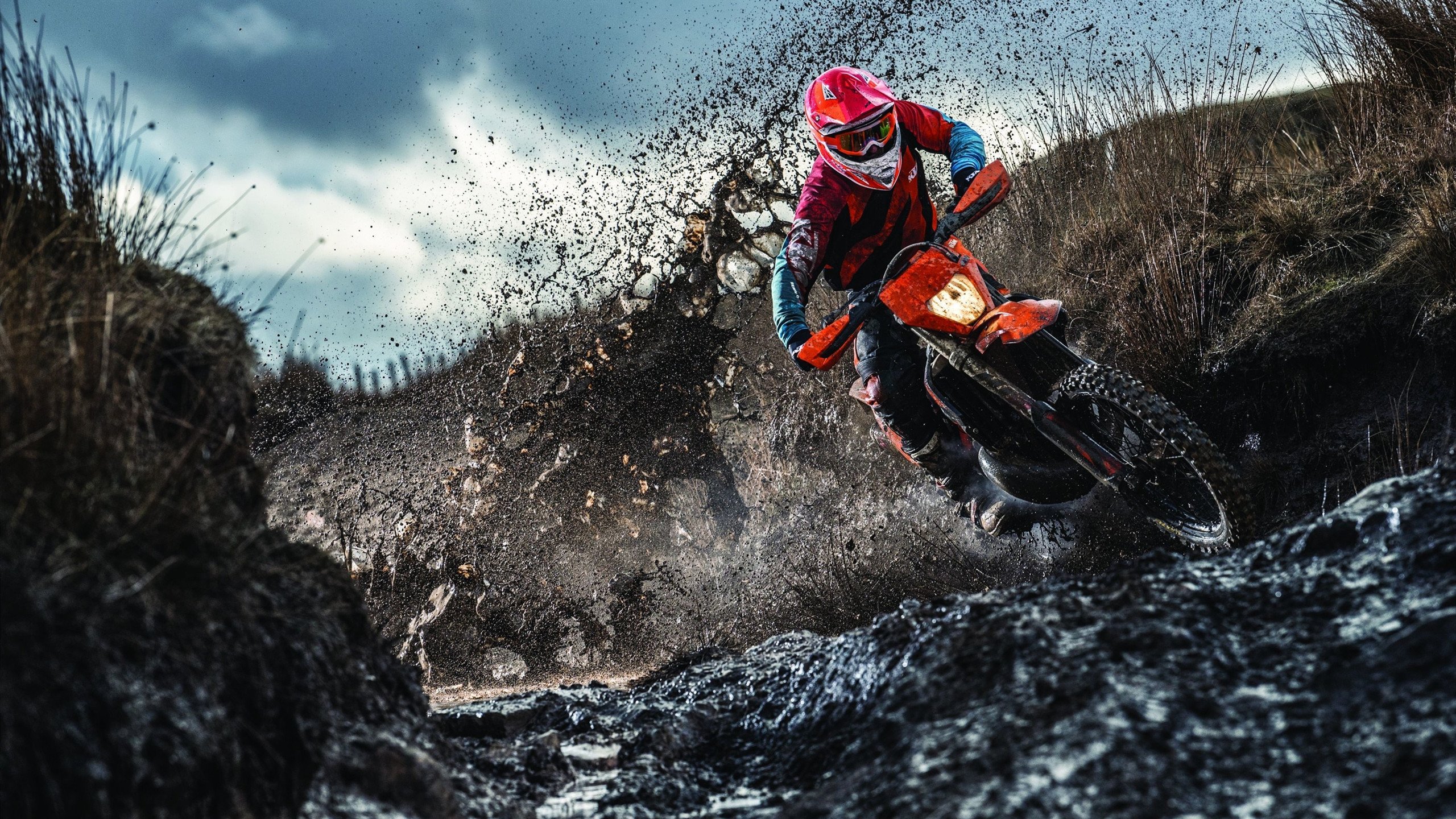 leyu乐鱼在线登录入口-女子橄榄球的未来：新西兰女队的崛起，新西兰 橄榄球