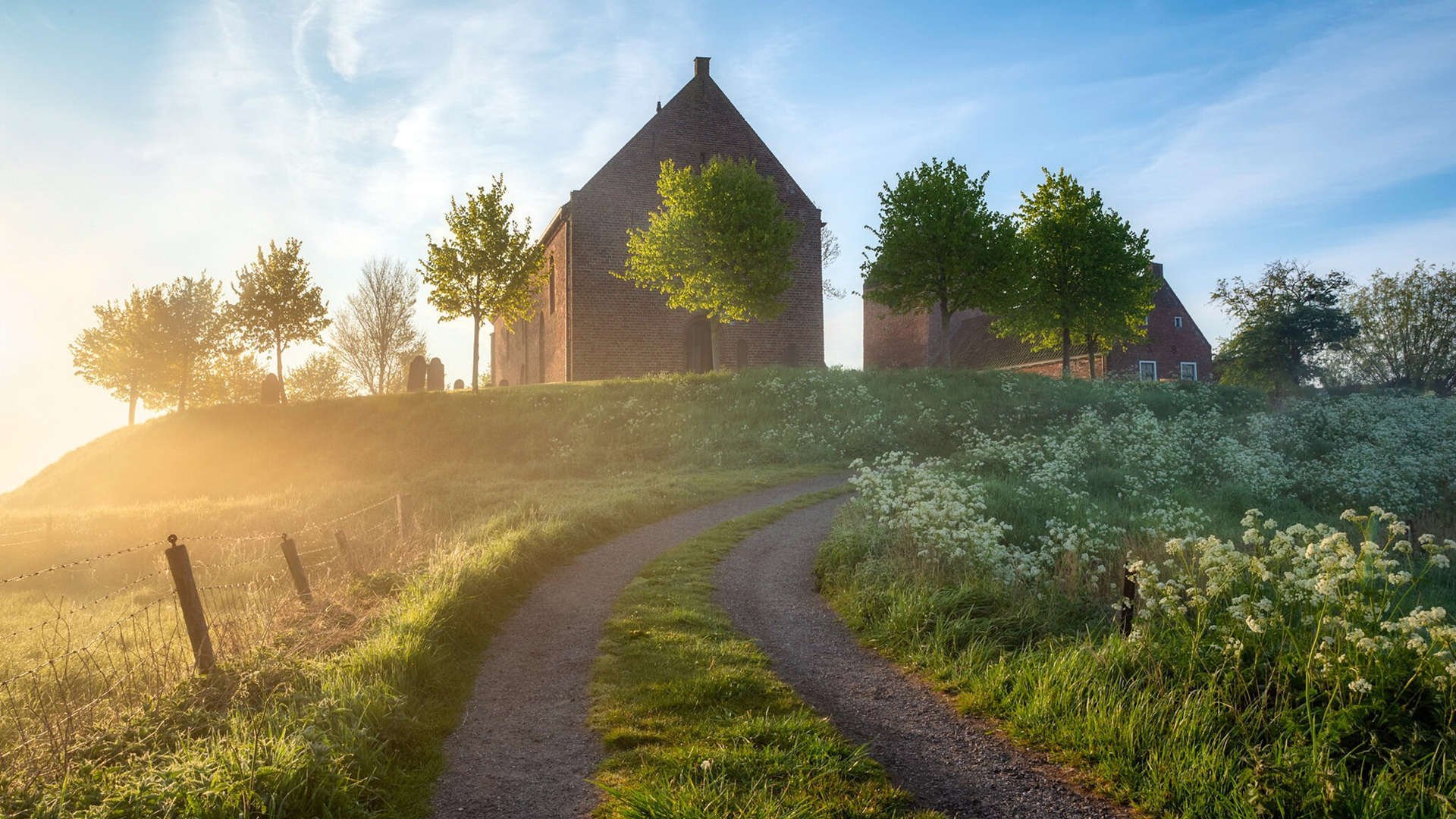 法国橄榄球的商业化进程加速，市场潜力巨大，法国橄榄球年历