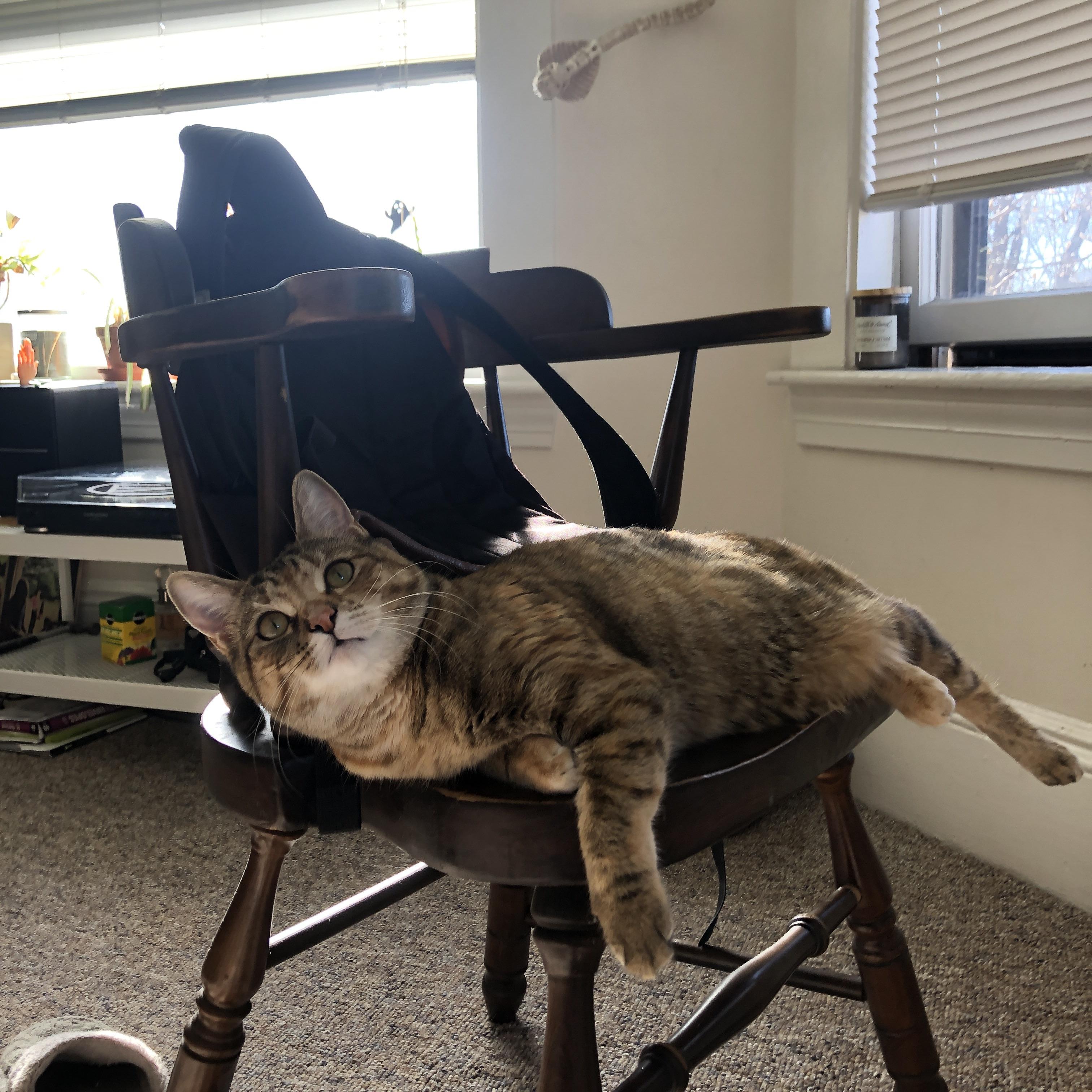 苏丹男篮在非洲锦标赛中持续攀升，体育水平不断提升，苏丹是非洲国家吗