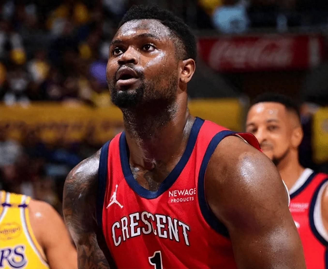 威廉森：鹈鹕的未来之星的简单介绍